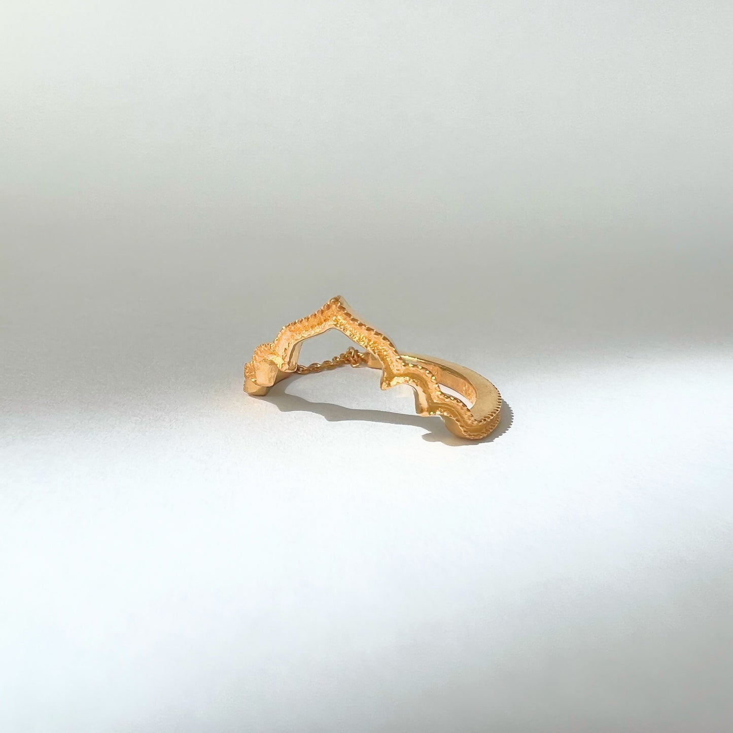Y様ご予約品クーポルリング フリーサイズ